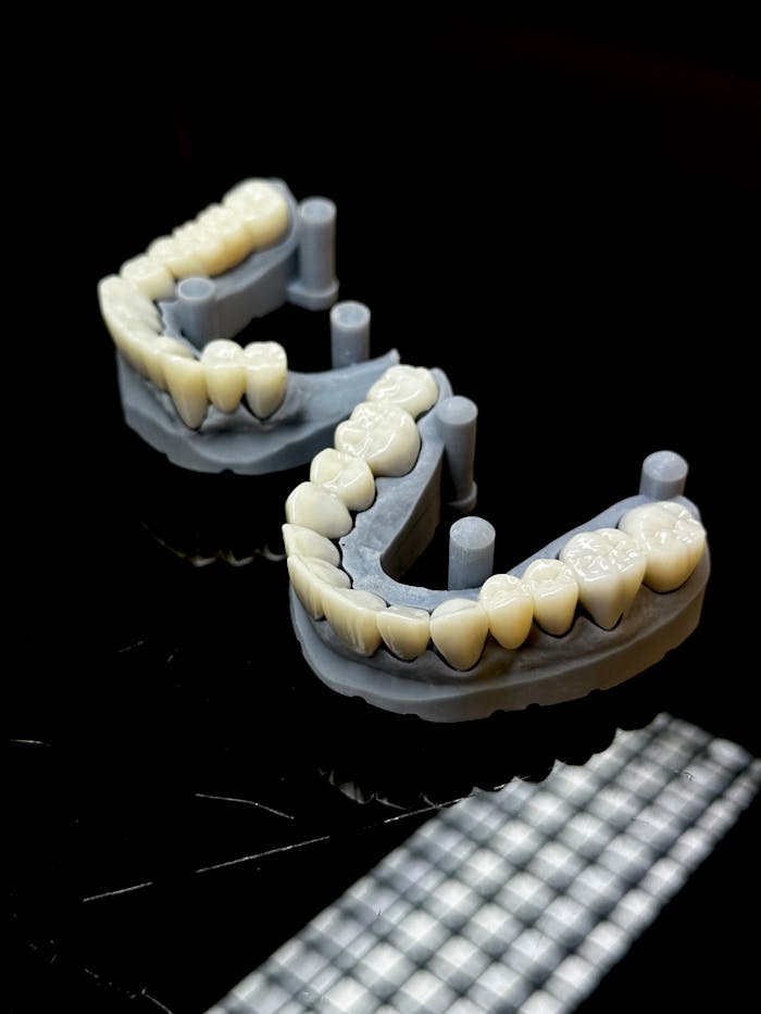 Close-up of 3D printed dental models showcasing realistic tooth replicas for dental restoration purposes.